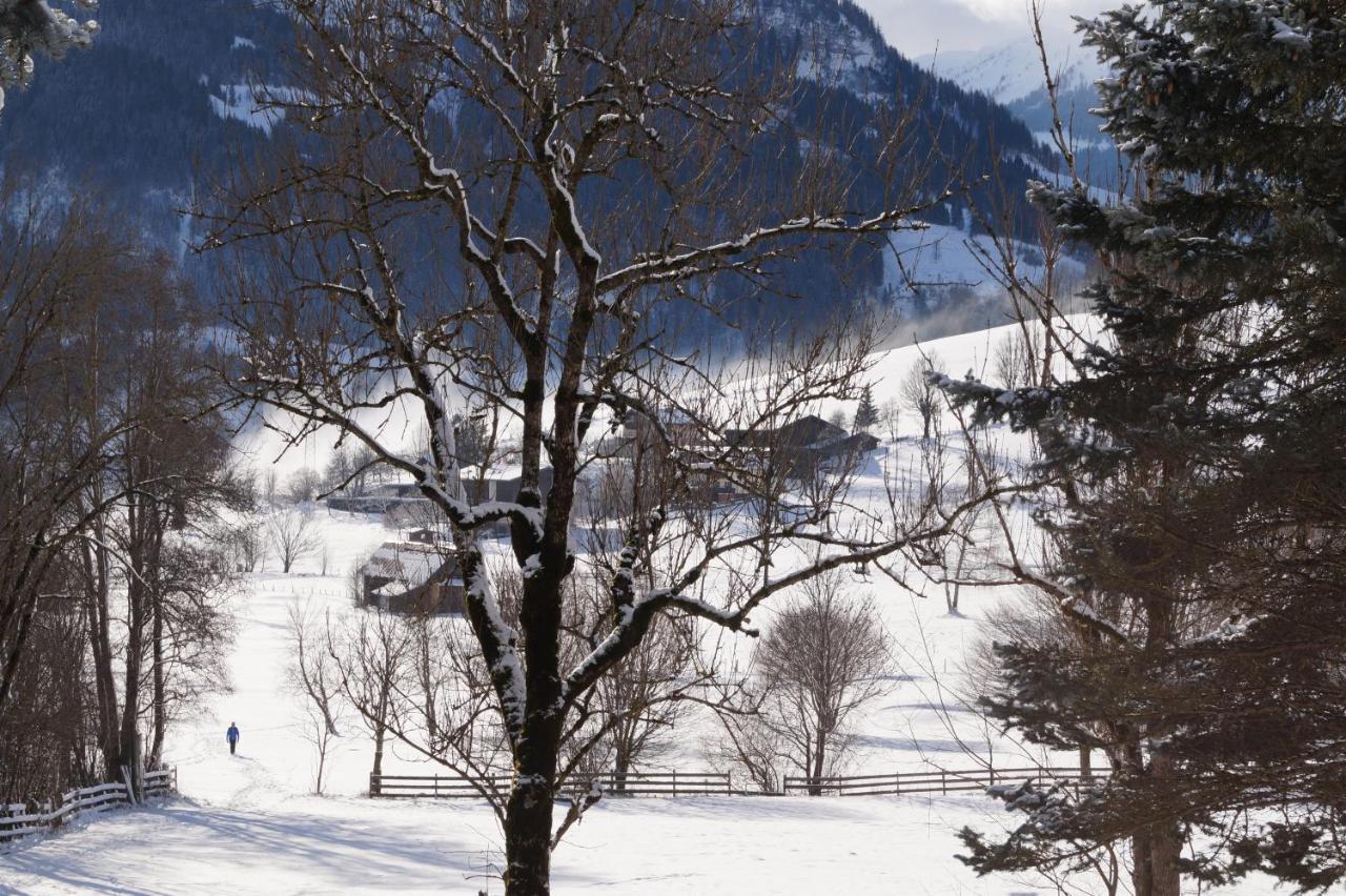Apartment Alpenpanorama Goldegg Buitenkant foto