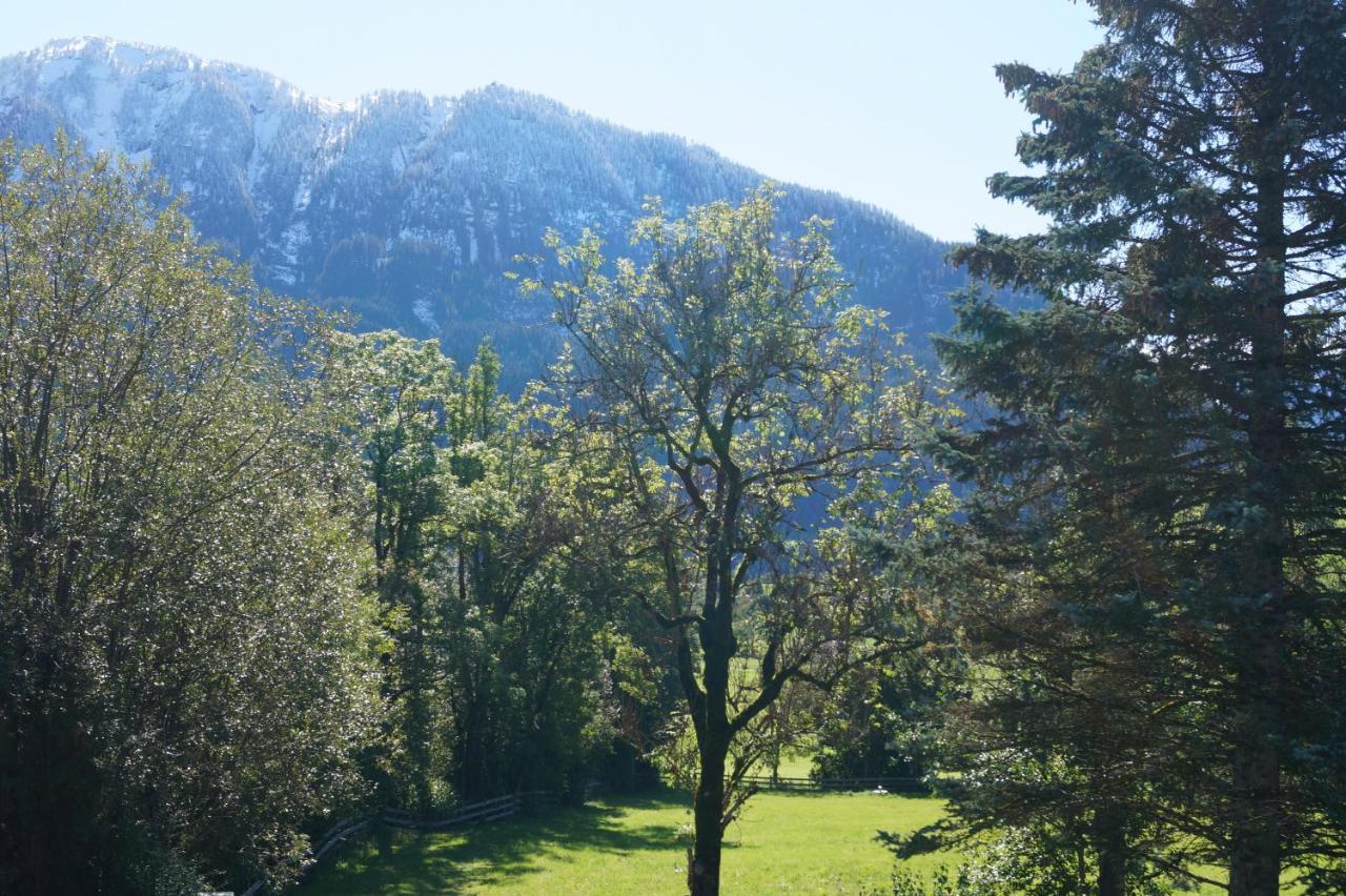 Apartment Alpenpanorama Goldegg Buitenkant foto
