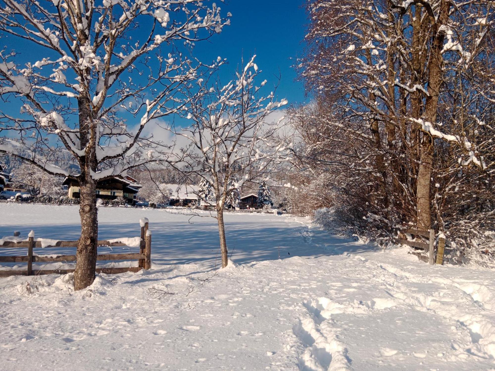 Apartment Alpenpanorama Goldegg Buitenkant foto
